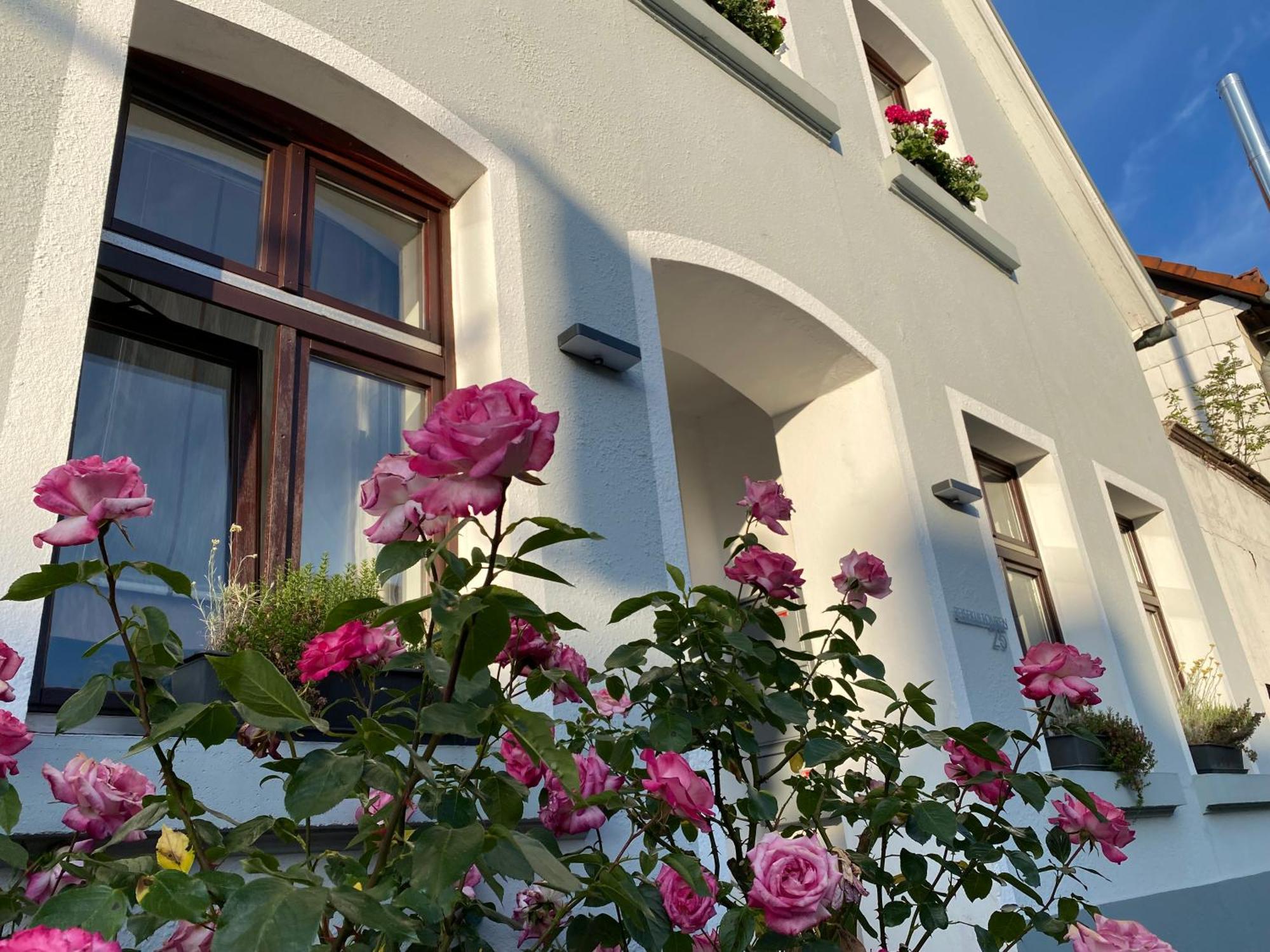 Reisekultouren Apartments Detmold Exterior foto