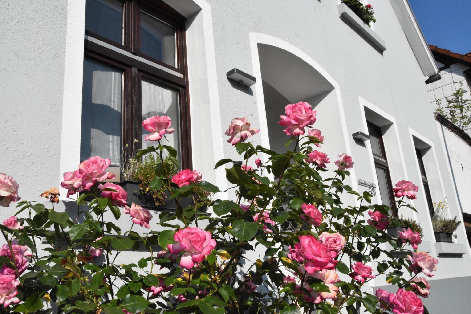 Reisekultouren Apartments Detmold Exterior foto